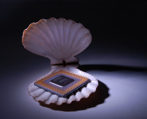 shelled processor