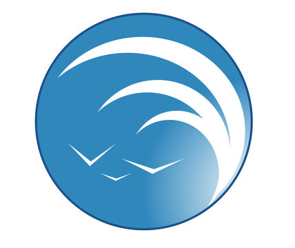 wave cirle