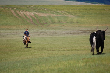 cavalière dans la steppe