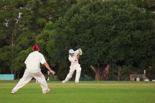 cricket #5