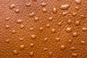 water drops on leather background