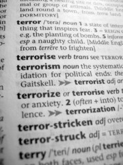 definition of terror
