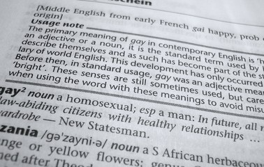 homosexual