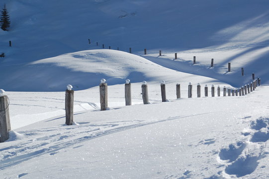 chemin de la vie