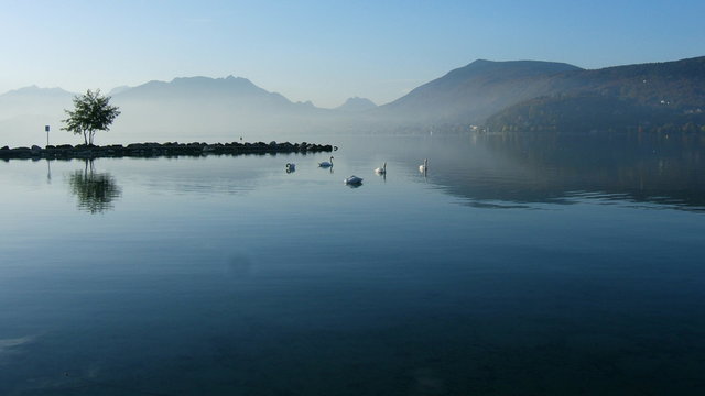 matin calme