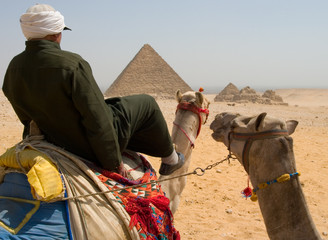 camel rider