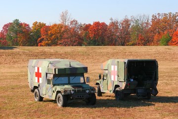 two battlefield ambulances © Ian Danbury