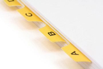 yellow file divider
