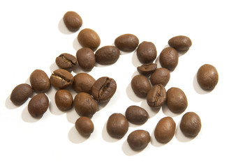 coffee beans on the white macro