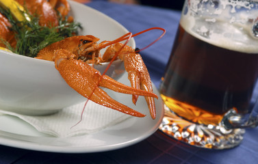  lobster and beer