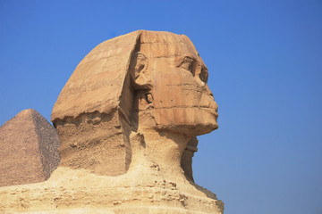 sphinx