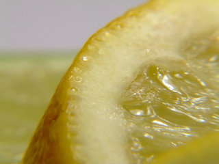 lemon and lime slices 2