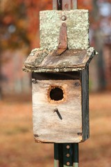 nesting box