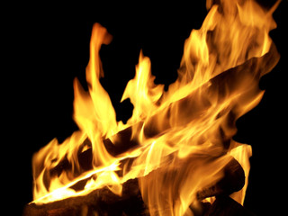 Fototapeta premium fire