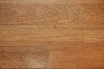 Fototapeta premium woods panels