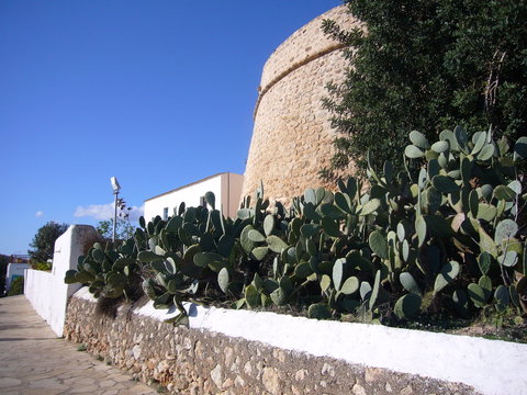 baluarte con chumberas defensivas en ibiza