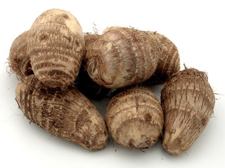 taro knolle aus afrika gemüse