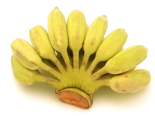 bund kleine koch bananen
