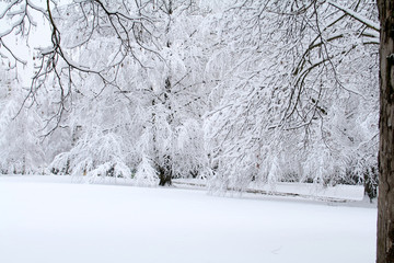 snow scene