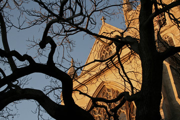 church through tree © Christopher Nolan