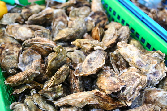 panier d'hu&icirc;tres