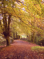 golden path to the bridge