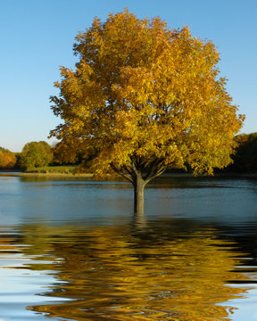 swamped