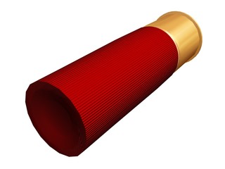 shotgun shell