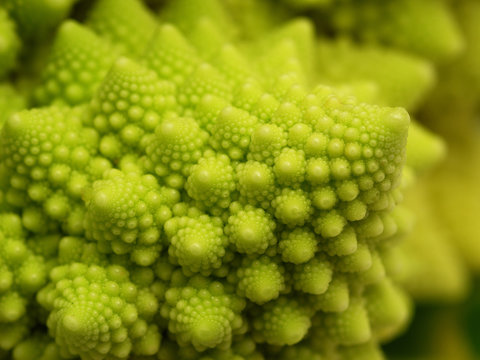 romanesco 4