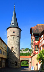 Fototapeta premium maintor2