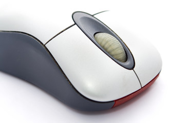 mouse