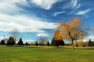 golf court
