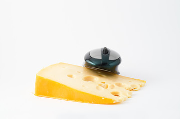 mouse eating cheese