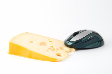 mouse & cheese 1