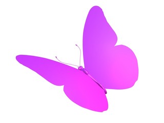 butterfly papillon