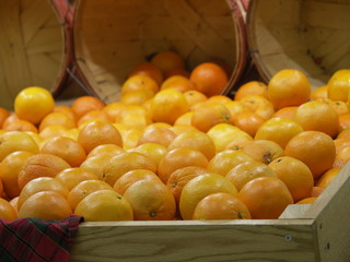 whole lot of oranges