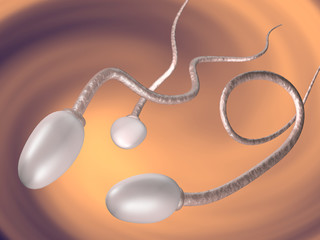 sperm