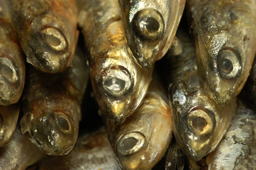 fische auf dem markt