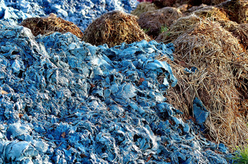 pollution n°6