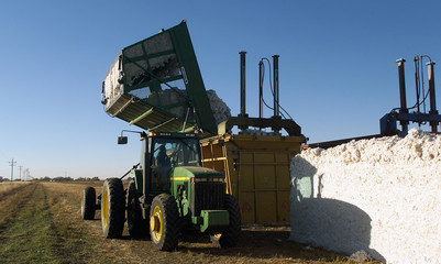 Obraz premium baumwolle