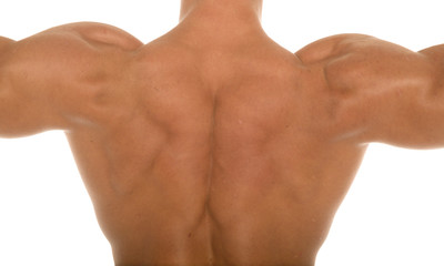 back of a muscular man - obrazy, fototapety, plakaty