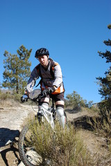 vtt nature