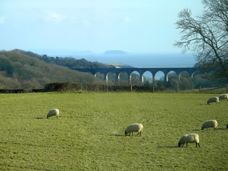 cardiff landscape