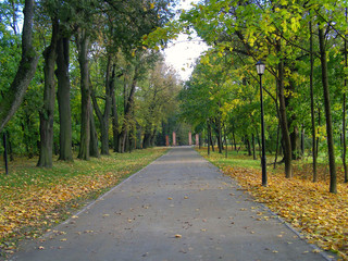 Fototapeta na wymiar autumn park
