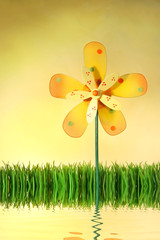 summer fun in the grass with water reflection