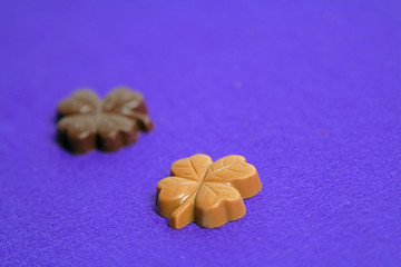 clover chocolates still life