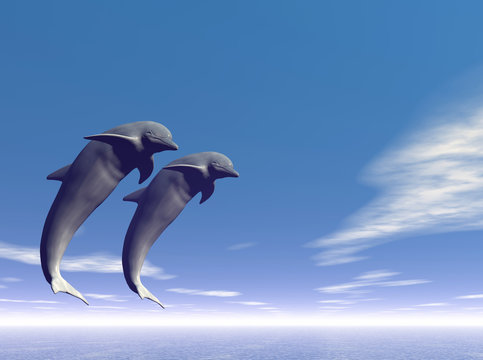 jump_dolphin3