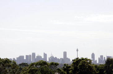 sydney skyline