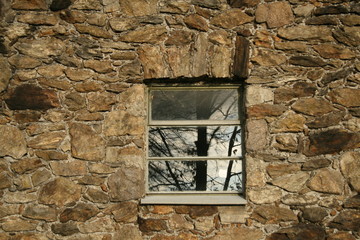 fenêtre avec arbre
