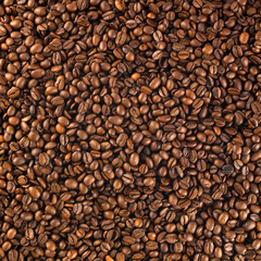 fresh roasted coffee beans